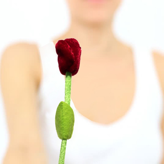 10'' Rose Plush