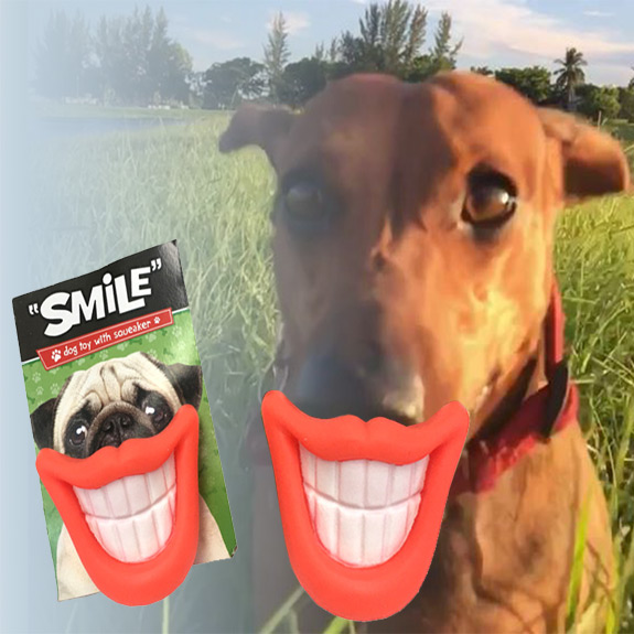 Smile Dog Toy with Squeaker