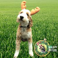 Howliday Pet Antlers - Pets Gifts - Santa Shop Gifts