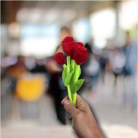 10'' Plush Rose - Gifts For Boys & Girls - Santa Shop Gifts