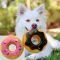 Donut Squeaker Dog Toy - Pets Gifts - Santa Shop Gifts