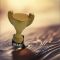 Dad Trophy - Dad Gifts - Santa Shop Gifts
