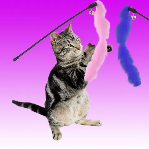 Frisky Cat Teaser Wand
