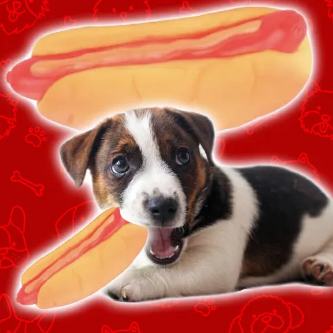 Hot Dog Squeaky Dog Toy