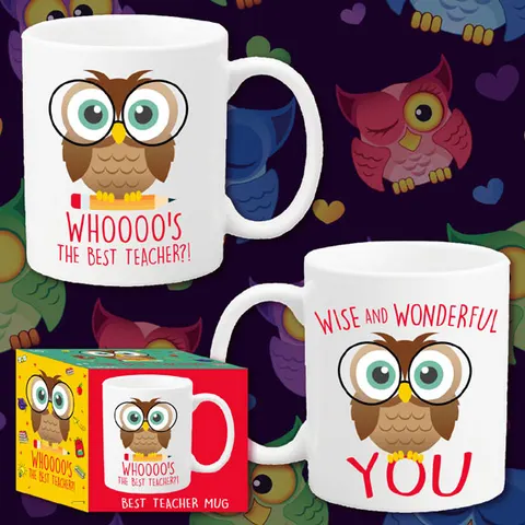 Owl Best Teacher Mug